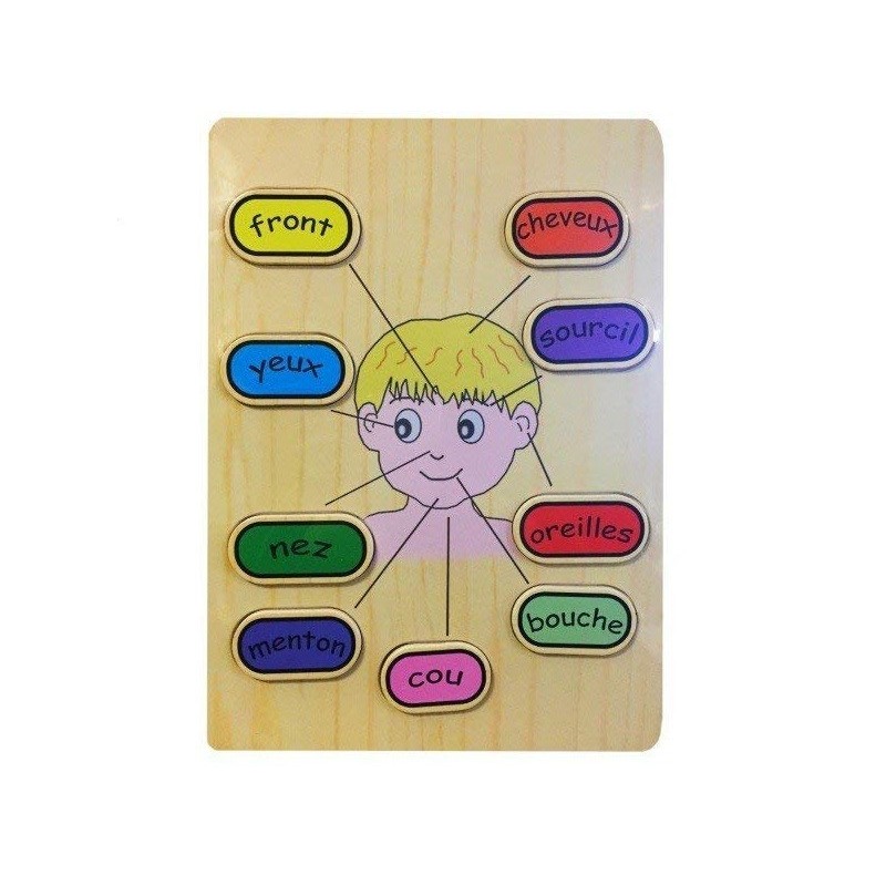 Puzzle educatif en bois  Anatomie du corps (2429)