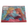 Pochette impermeable la reine des neiges 30 cm (3114)