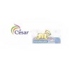 Cesar / Nounours